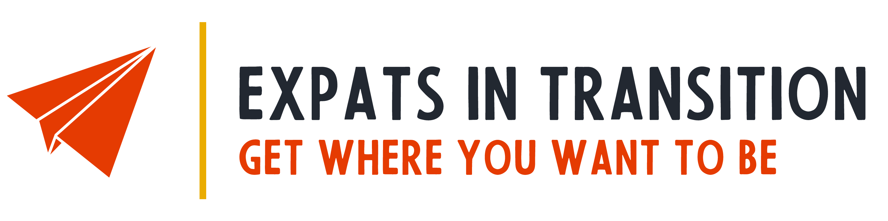 Expats In Transition